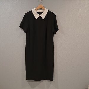 Shelby & Palmer Classic Black and White Dress